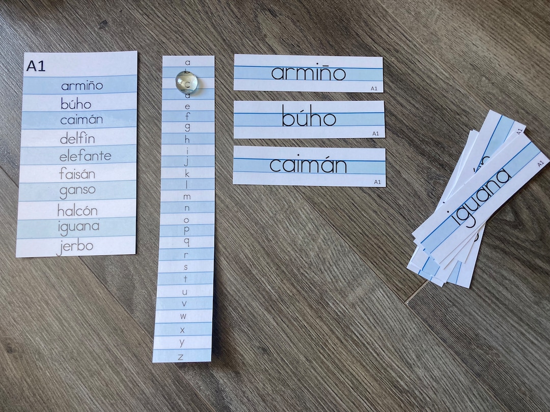 Montessori Alphabetizing in Spanish - Etsy