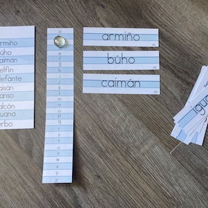 May include: A set of Spanish language flashcards with words like "armiño", "búho", "caimán", and "iguana". The cards are printed on white paper with blue lines and have a light blue background.