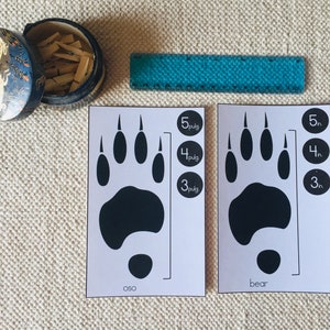 Cartes de mesure des traces d'animaux en anglais et en espagnol