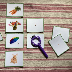 May include: A set of flashcards with various images, including a bouquet of flowers, a rainbow umbrella, a rabbit, carrots, apricots, and a magnifying glass. The cards are laid out on a striped surface.