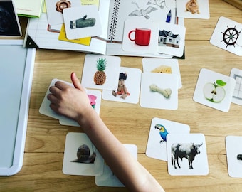 Rhyming Cards in Spanish/ Tarjetas de Rimas