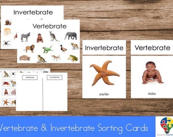 Vertebrate & Invertebrate Sorting Cards in English