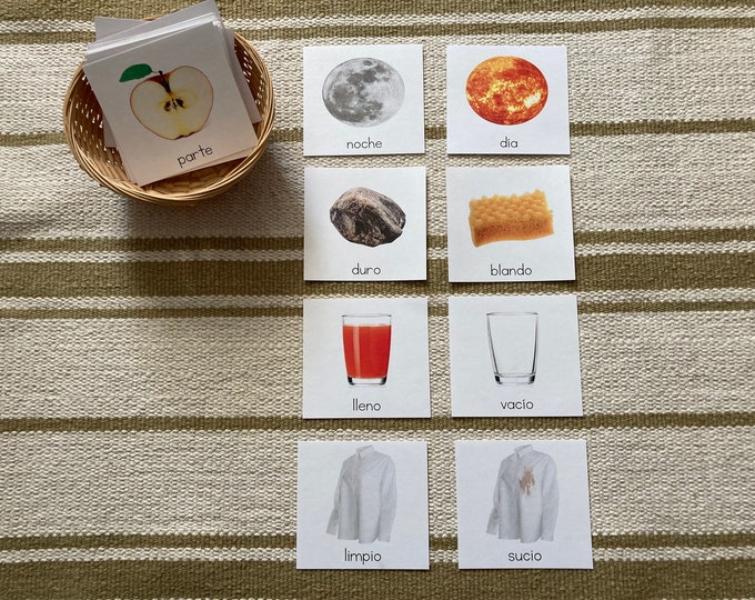 Parts of a Leaf - Montessori 3-part-cards - Etsy Canada