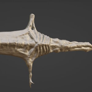 May include: A 3D printed model of a creature with a long, thin body and a segmented tail. The creature has a smooth, fleshy texture and appears to be made of a light brown material.