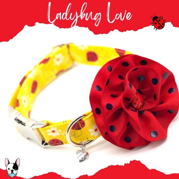 Collier pour chien coccinelle | Collier pour chien d'été | Collier pour chien fille | Collier de chien mignon