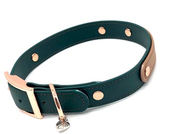 Biothane and Solid Brass Tongue Buckle Made to Order 34 Solid Color Dog Collar Stink-Proof Easy to Clean Waterproof