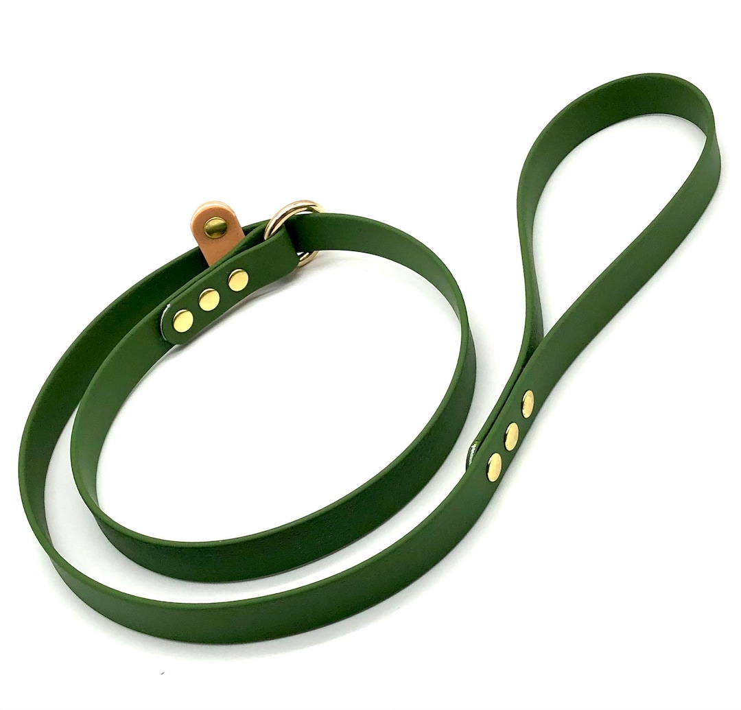 Olive Green Slip Lead Biothane Leash Etsy UK