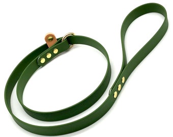 Olive Green Slip Lead • Biothane Leash