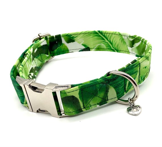 Cute summer dog collars 2025