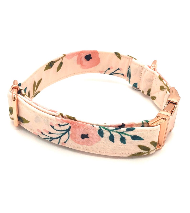 Pretty in Peach Dog Collar Cute Dog Collar Etsy