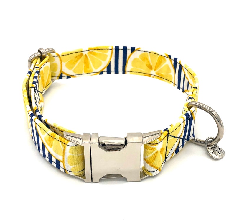 Lemon Striped Dog Collar Summer Dog Collar Cute Dog Collar Etsy