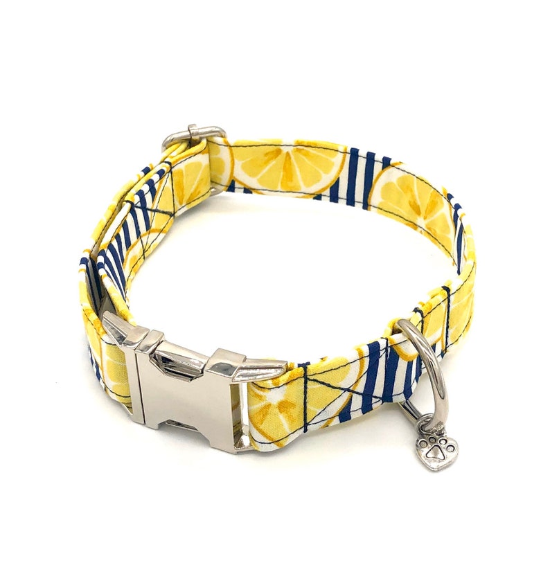 Lemon Striped Dog Collar Summer Dog Collar Cute Dog Collar Etsy