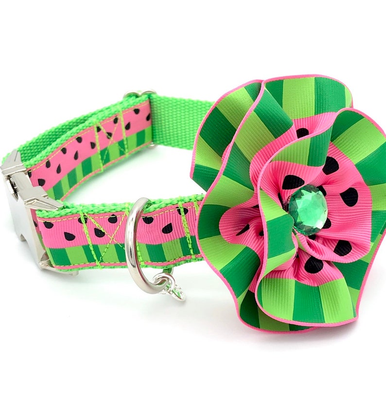 Watermelon Dog Collar Cute Dog Collar Summertime Dog Etsy