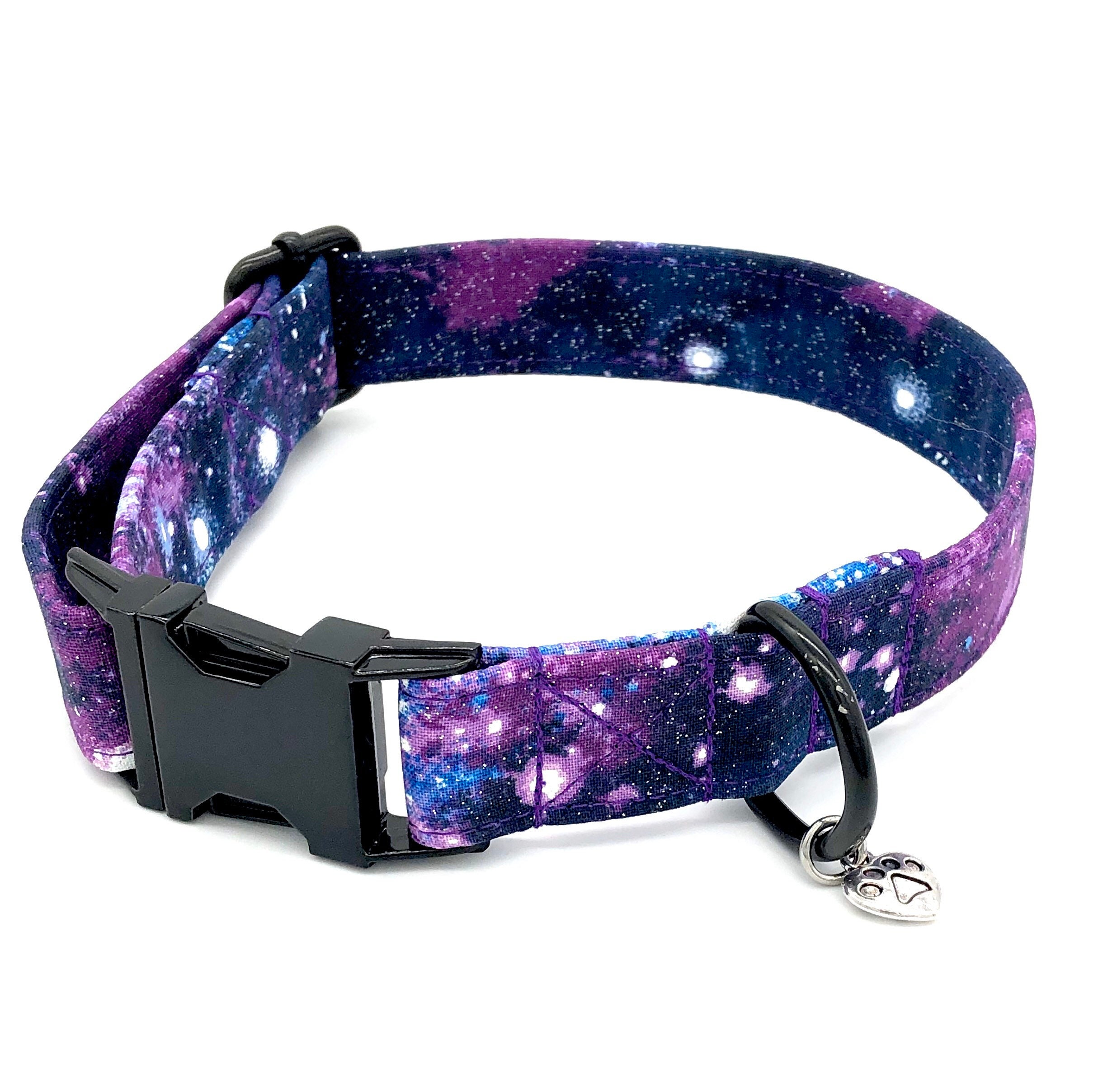 girl cute dog collar