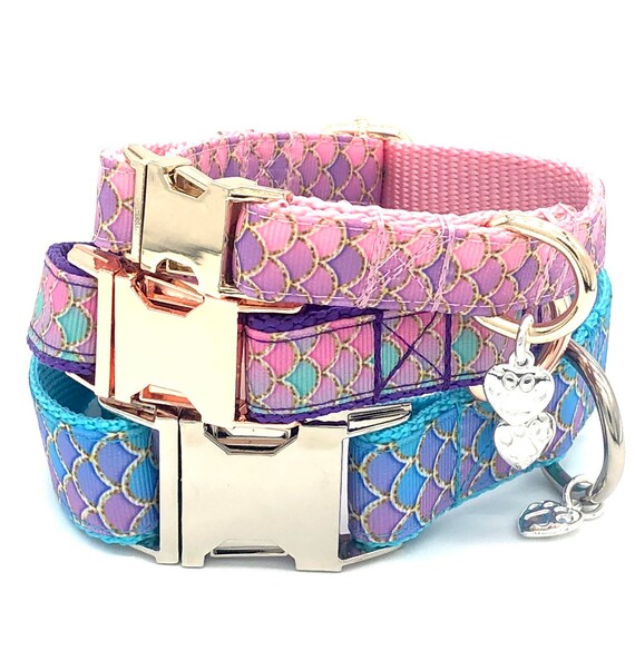 cute dog collars etsy