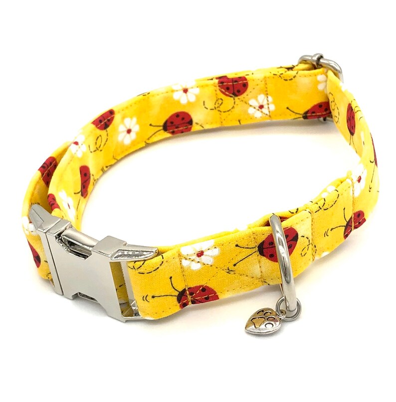 Ladybug Dog Collar Ladybug Collar Collection Cute Dog Etsy