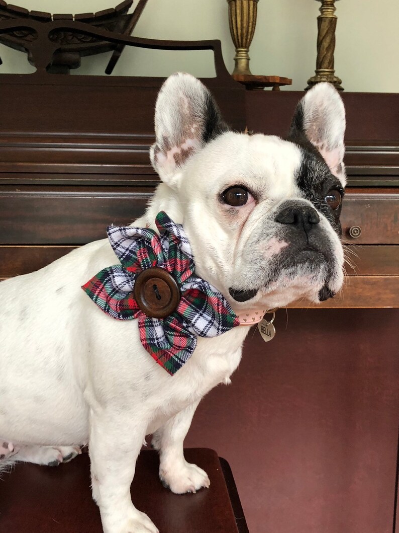 Cute Dog Accessory Flower Dog Collar Plaid Flower Dog Collar Accessory