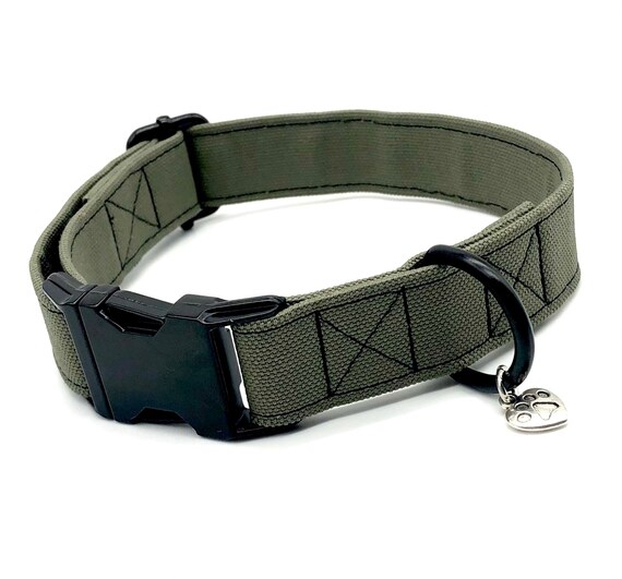 olive dog collar