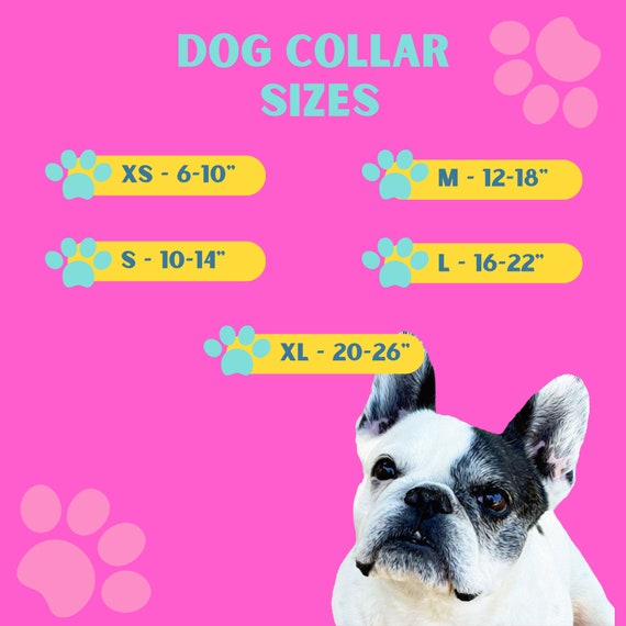 Galaxy Dog Collar Cute Dog Collar Girl Dog Collar Boy -  Israel