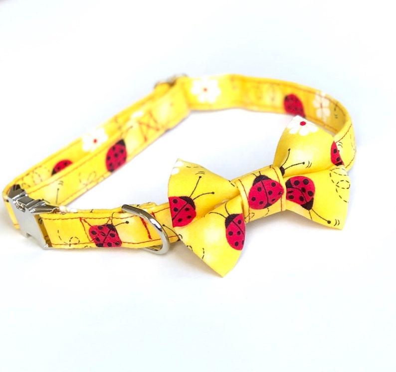Ladybug Dog Collar Ladybug Collar Collection Cute Dog Etsy