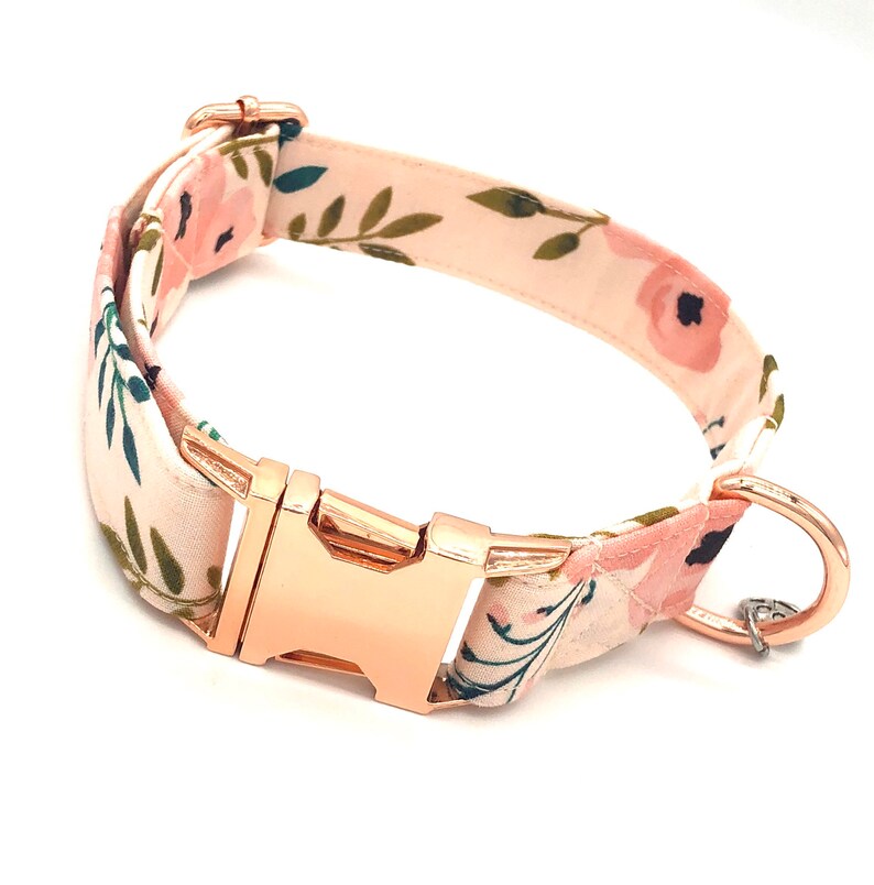 Pretty in Peach Dog Collar Cute Dog Collar Etsy