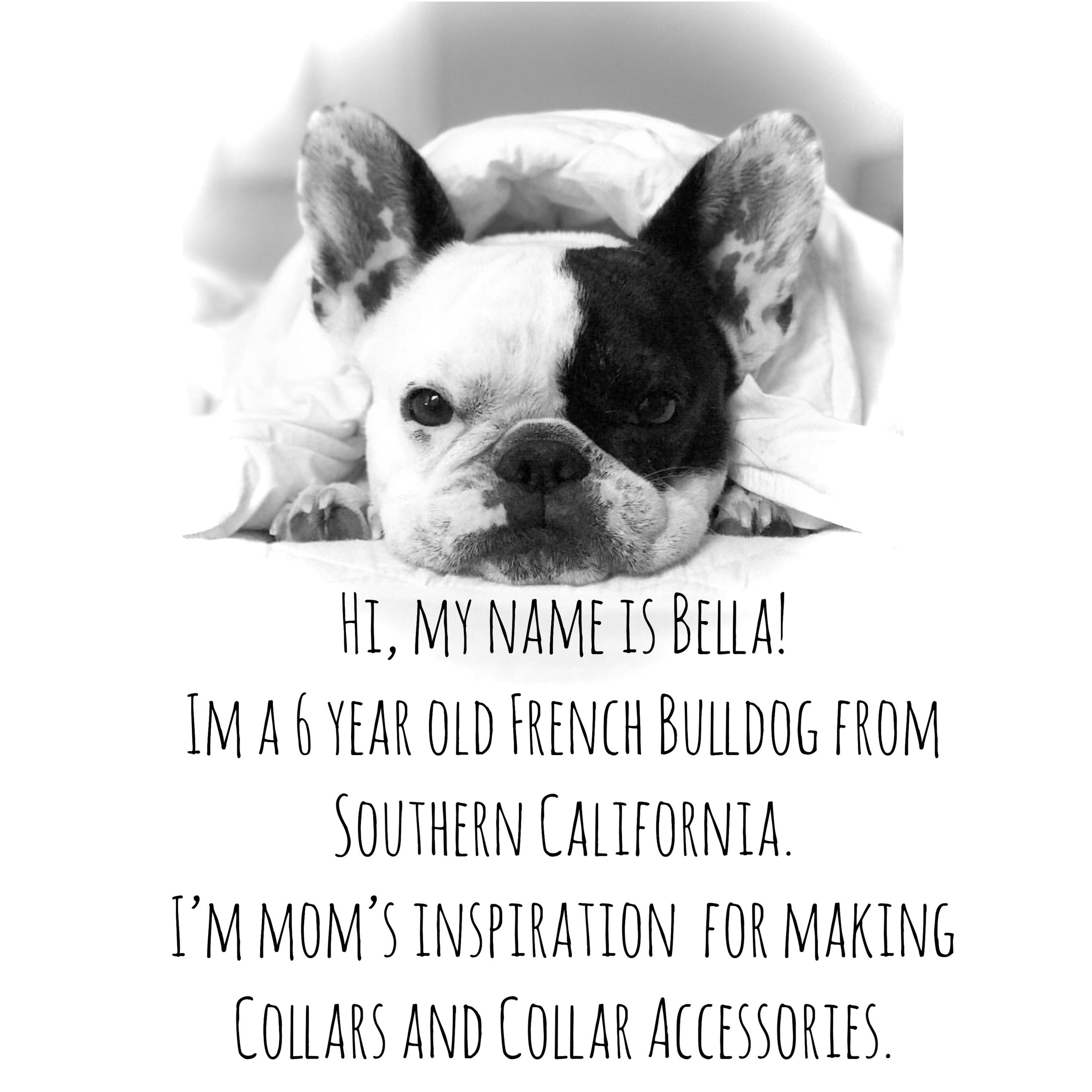 Green Plaid Dog Bow Tie Cute Dog Accessory St Etsy