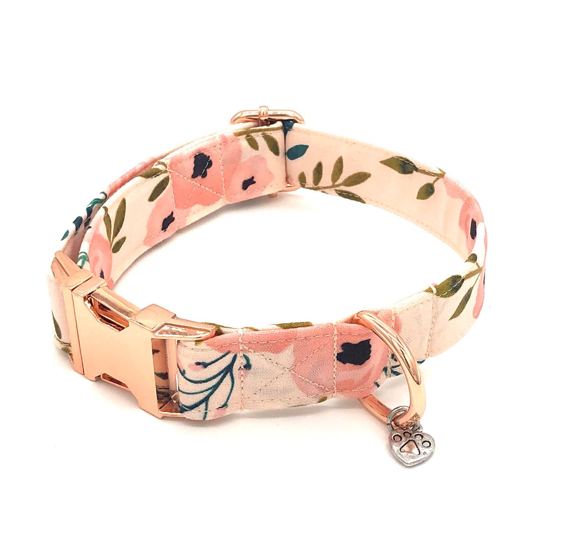 Pretty in Peach Dog Collar Cute Dog Collar Etsy