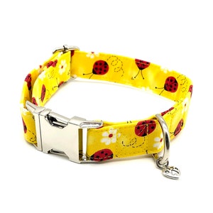 Ladybug Dog Collar Ladybug Collar Collection Cute Dog | Etsy
