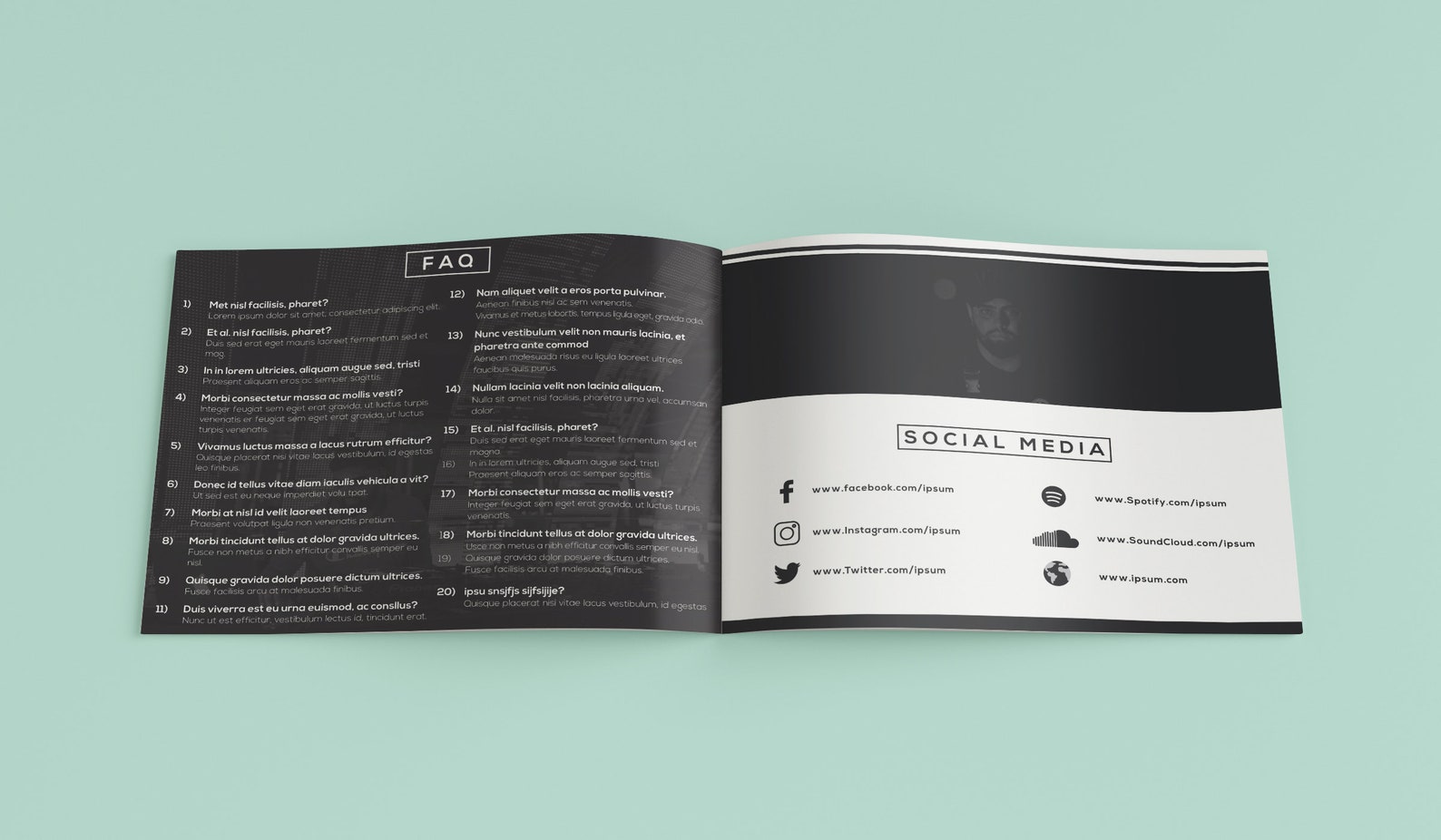 Electronic Press Kit Template, Media Kit, Instant Download, Editable