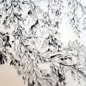 Framed engraving #Dendrites, drypoint, size 28x38 cm on 295g paper, single print, original work of art