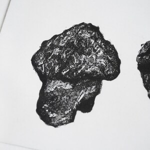 May include: Black and white print of two abstract shapes resembling rocks or stones. The shapes are textured and have a rough appearance.