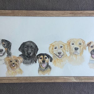 Dog Portrait | Pet Portrait