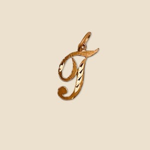 Colgante con la inicial "T" en oro de 14 quilates / Delicado dije con letra / Joyería fina personalizada de Tehrani Jewelry
