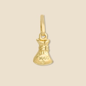 Ciondolo porta soldi in oro 14K (borsa porta soldi) / Delicato portafortuna / Gioielleria raffinata di Tehrani Jewelry