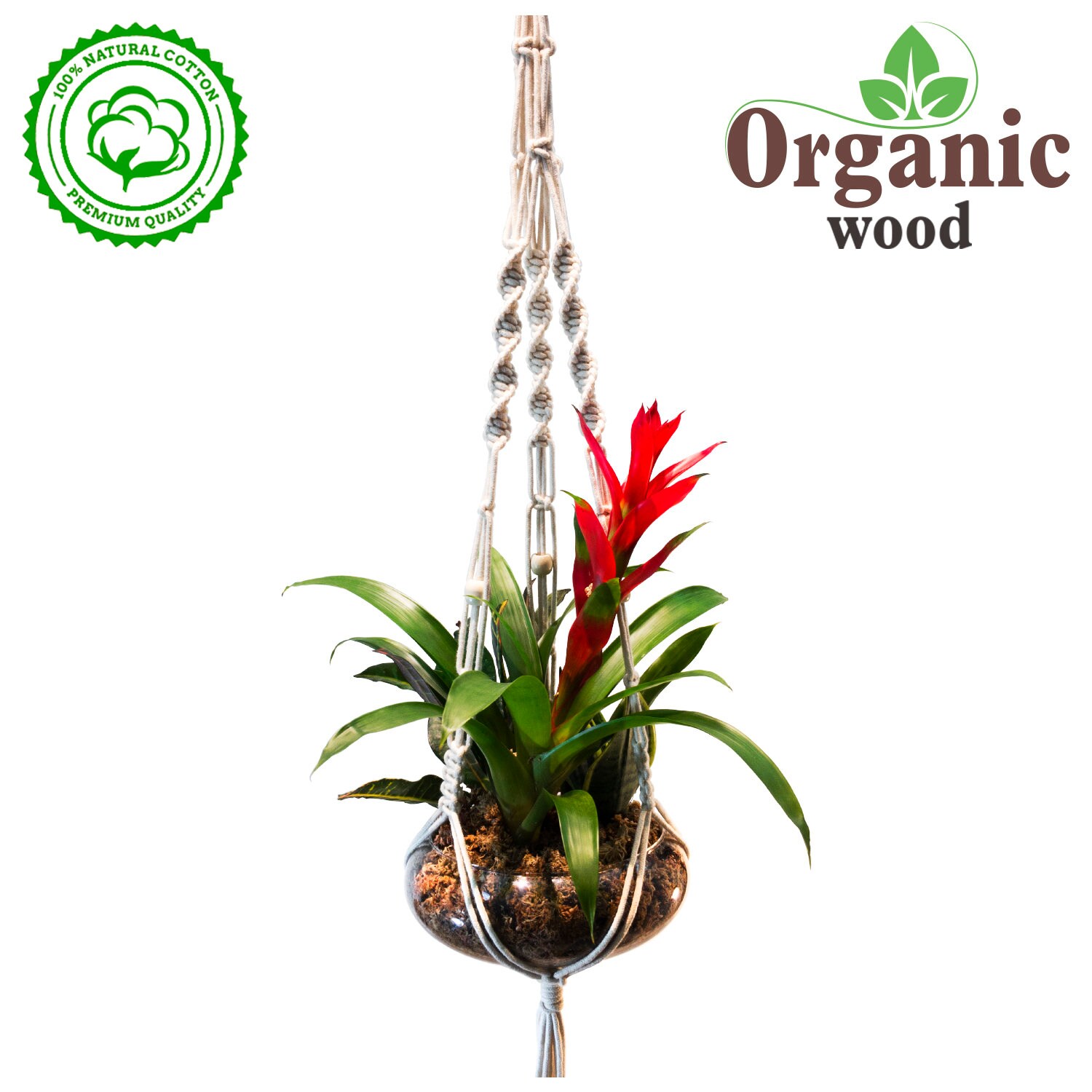 Plantador colgante Colgador de planta para exteriores en | Etsy