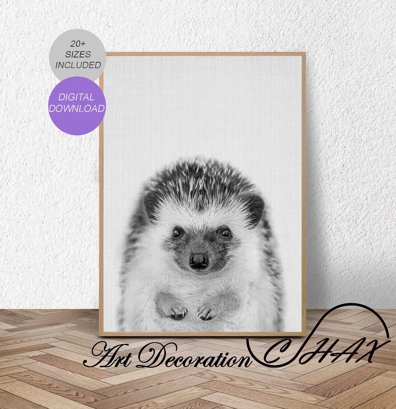 Wall Art Poster Hedgehog Print Woodland Forest Decor Etsy