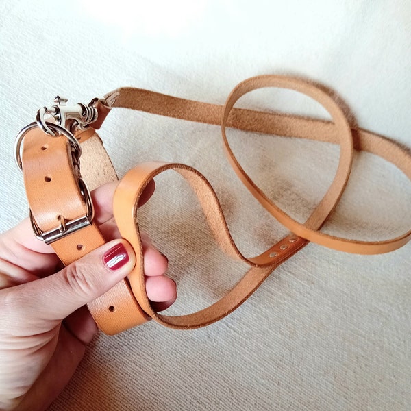 Laisse et collier pour chien en cuir