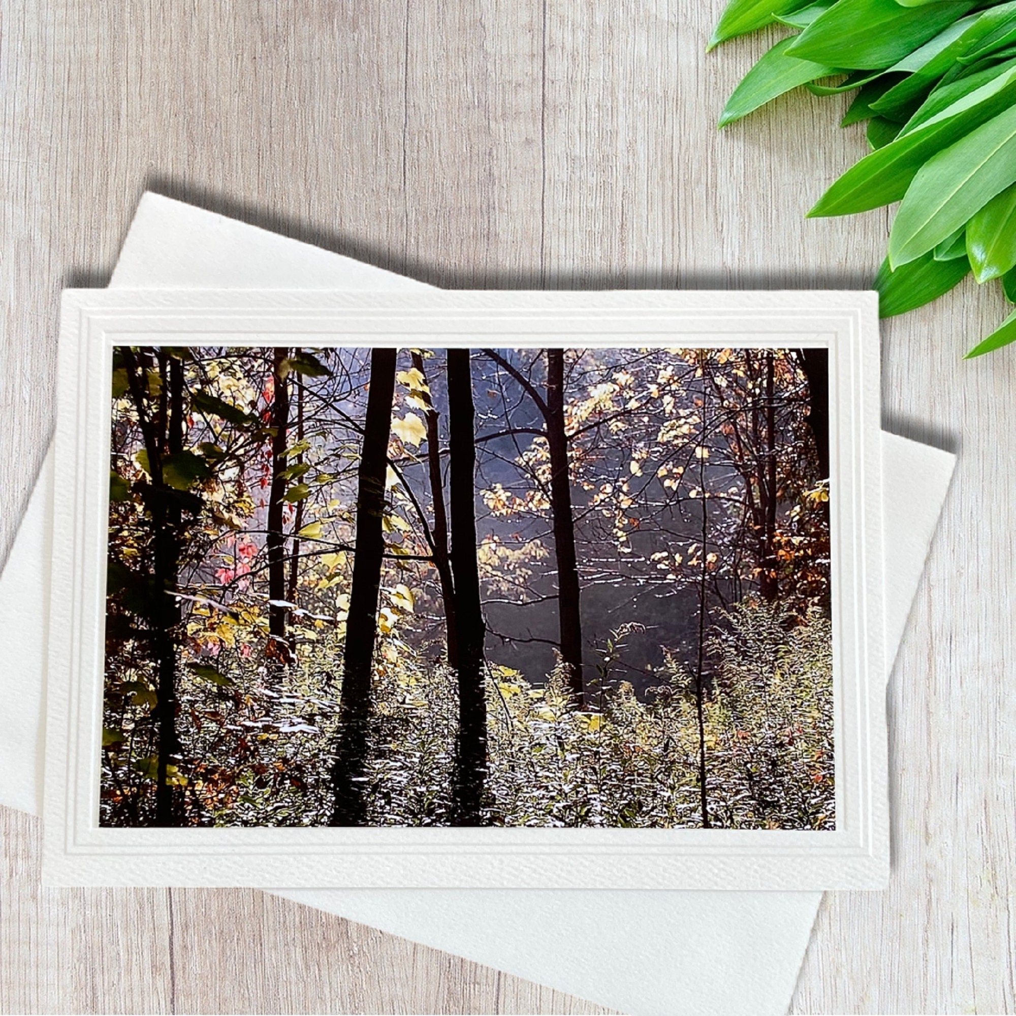 Photo Card Note Card Nature Photo Card Stationery Nature - Etsy