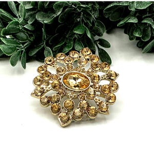 Gold-Tone Floral Rhinestone Brooch Pin With Champagne Colored  Crystal Centerpiece