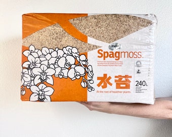 Besgrow Spagmoss 500g Premier New Zealand Sphagnum Moss – Rare