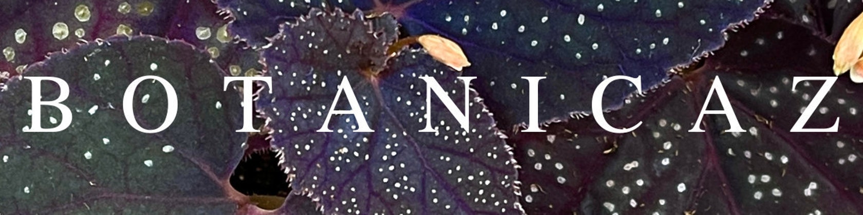 ★希少★BOTANIZE ボタナイズ ★ポスター★送料無料★ BOTANIZE / ボタナイズ の正規取扱店 1989 Online Store