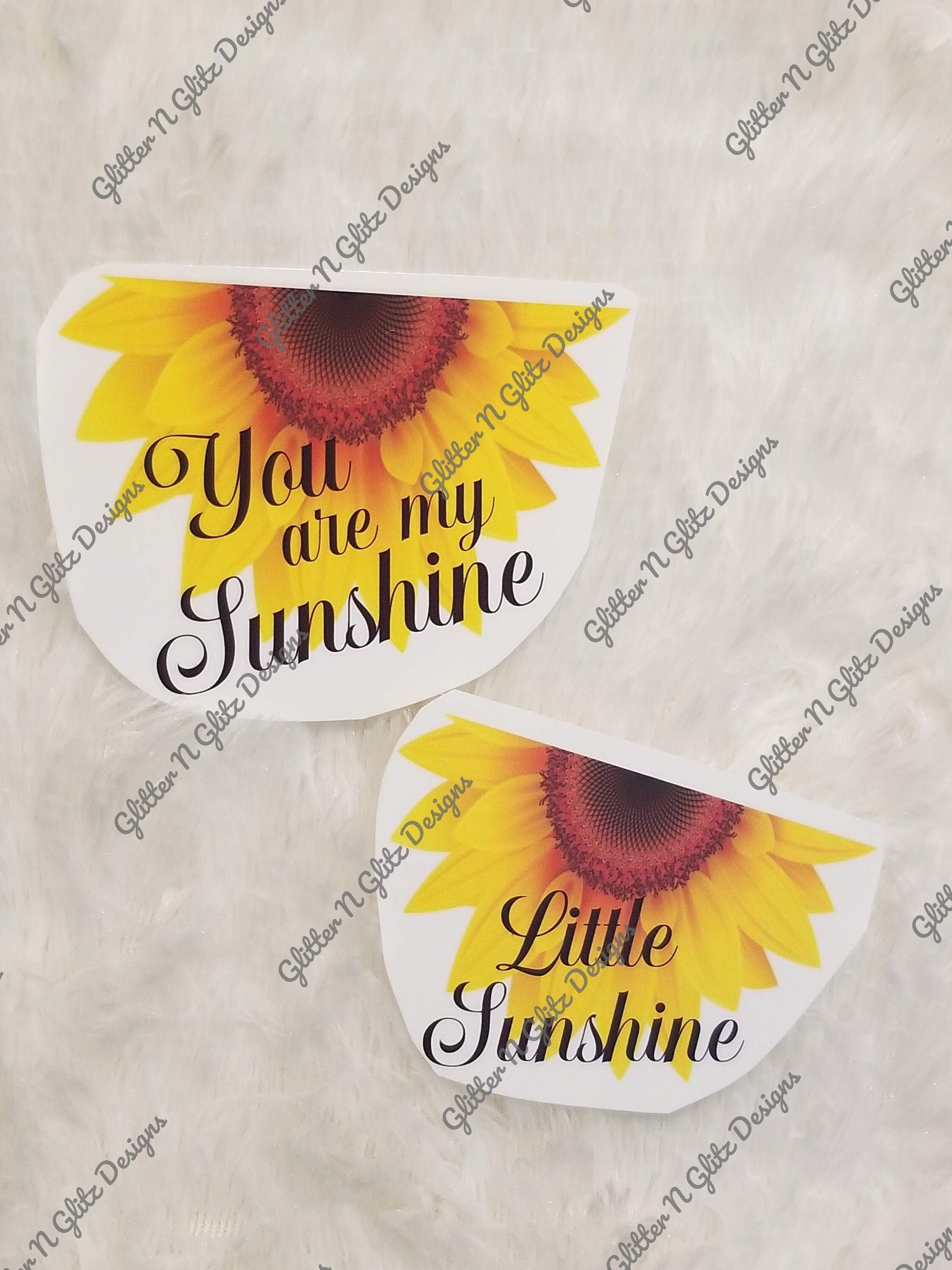 You Are My Sunshine/ Little Sunshine Matching Sunflower Waterslide De…