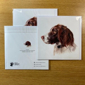 Focus - Grußkarte von Matt Hunter Artist - Springer Spaniel
