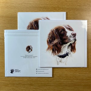 Springer Spaniel - Grußkarte von Matt Hunter Artist