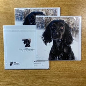 Winter - Greetings Card by Matt Hunter Artist - Cocker Spaniel