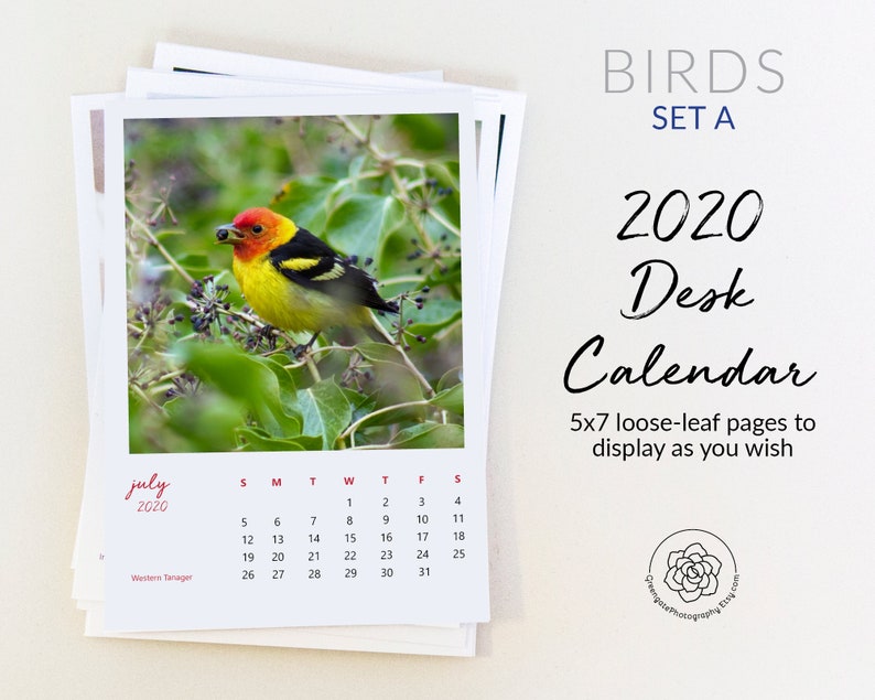 2020 Desk Calendar A birds 5x7 easel calendar loose leaf Etsy