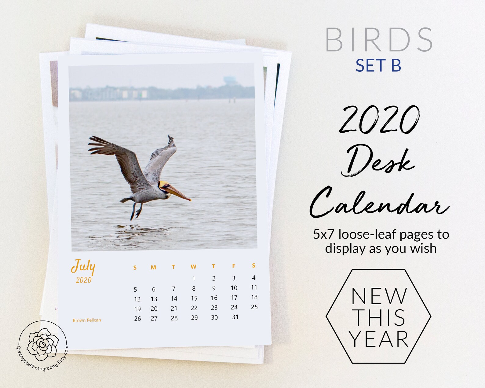 2020 Desk Calendar B birds 5x7 easel calendar loose leaf Etsy