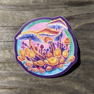 Golden Teacher Cluster (Magic Mushrooms) - 3&quot; Vinyl Sticker