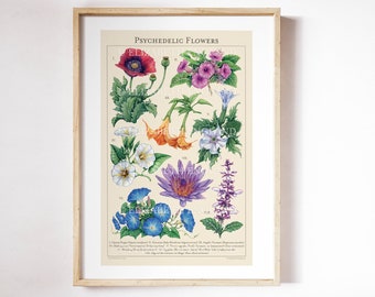 Psychedelic Flowers - Botanical Art Print