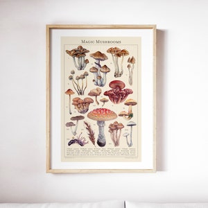 Magic Mushrooms - Botanical Art Print